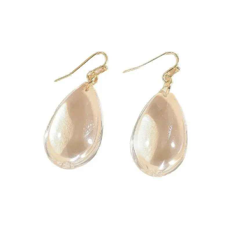Simple And Elegant Niche Transparent Drop Earrings Elegant And Cold Style With A High-end Feel - Mohamed jewelry My Store
