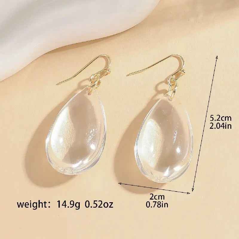 Simple And Elegant Niche Transparent Drop Earrings Elegant And Cold Style With A High-end Feel - Mohamed jewelry My Store